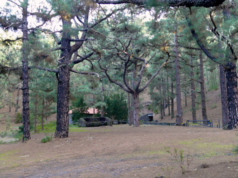Zurück am Picknickplatz.