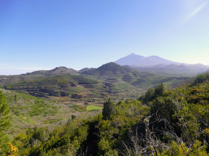 Blick auf den Teide.