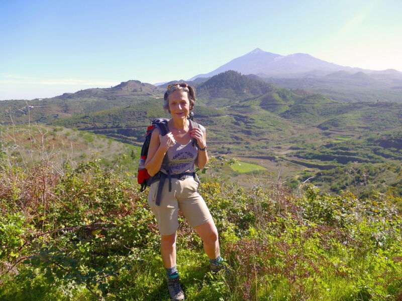 Blick auf den Teide.