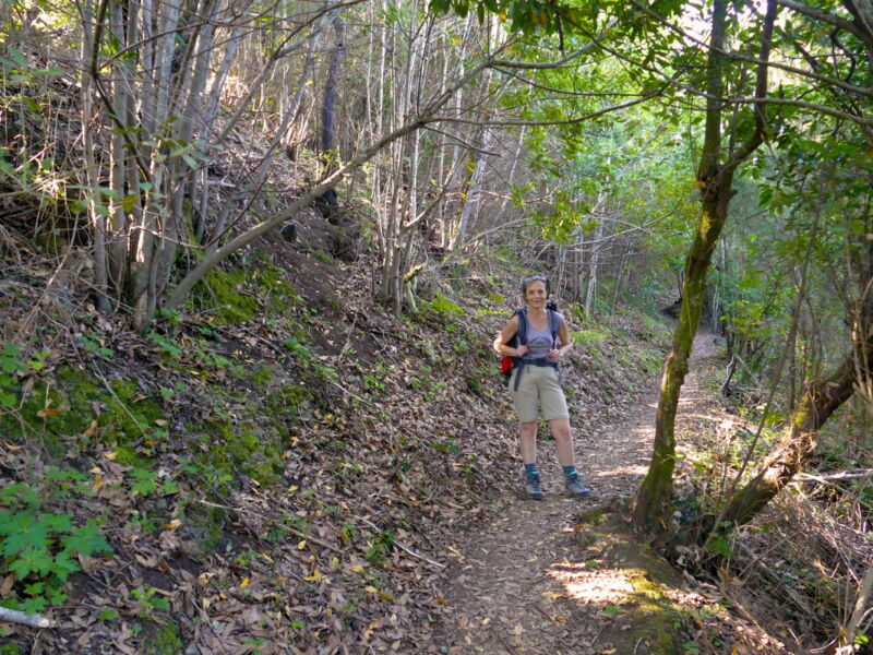 Auf dem Weg zum Cruz de Gala.