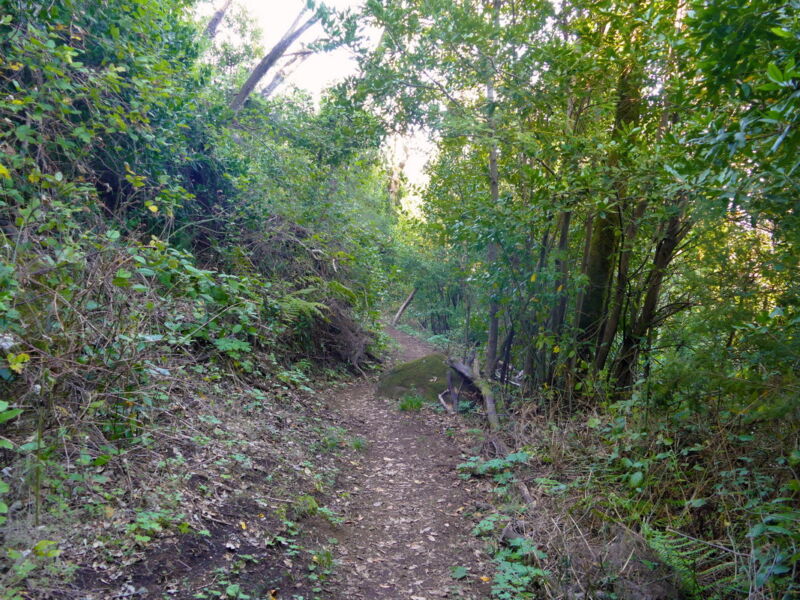 Auf dem Weg zum Cruz de Gala.