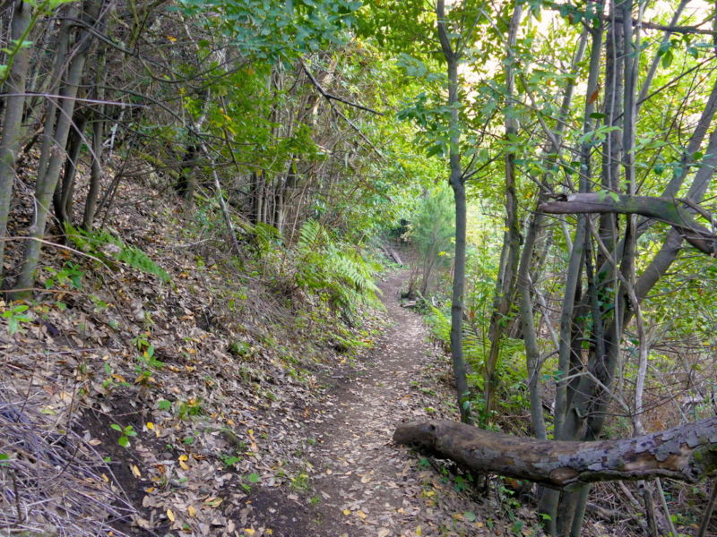 Auf dem Weg zum Cruz de Gala.