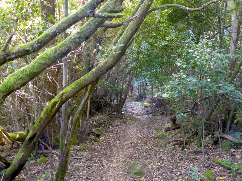 Auf dem Weg zum Cruz de Gala.