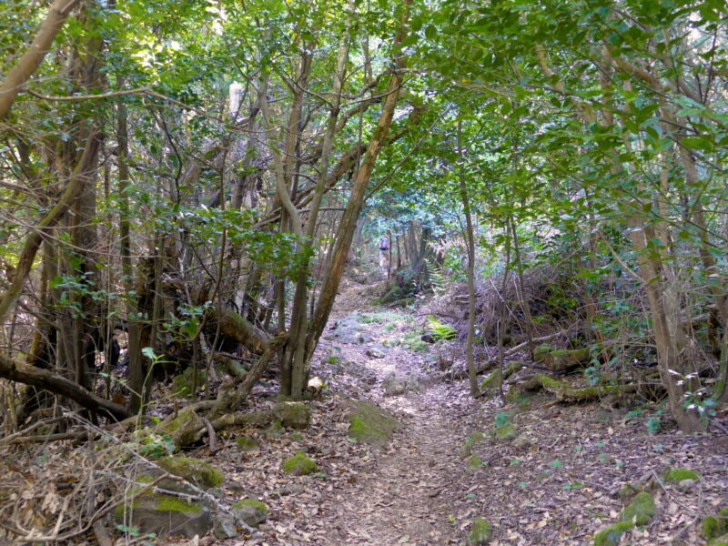 Auf dem Weg zum Cruz de Gala.