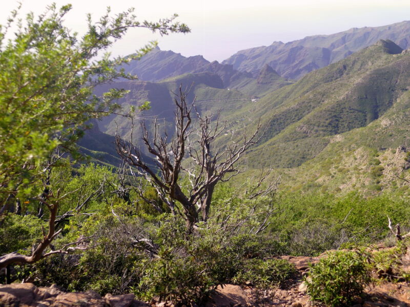 Degollada de la Mesa.