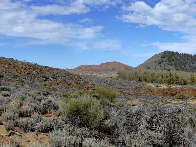 In den Cañadas - Blick auf die Fortaleza.