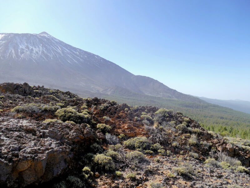 Cañada de los Guancheros - an der Abbruchkante.
