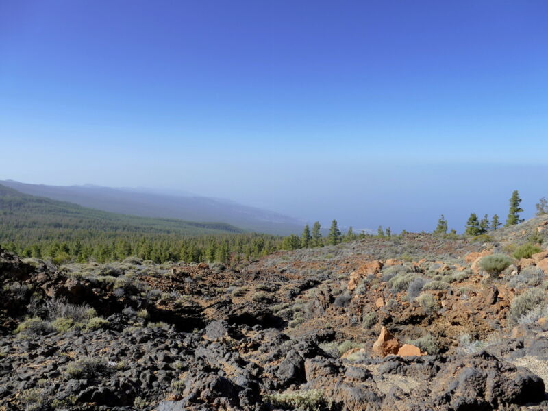 Cañada de los Guancheros - an der Abbruchkante.