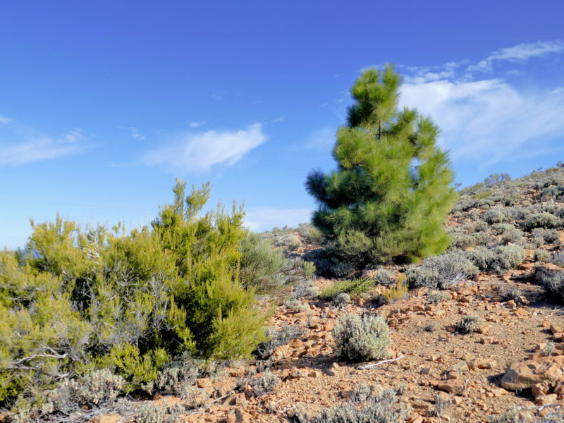 Oben auf der Fortaleza.