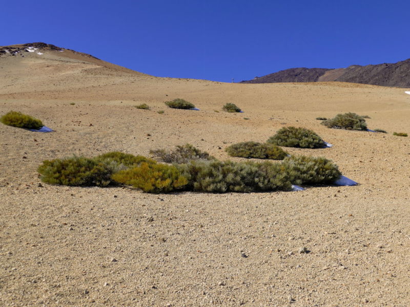 Aufstieg zur Montaña Blanca.