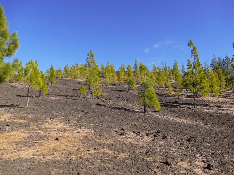 Aufstieg zur Montaña Sámara.