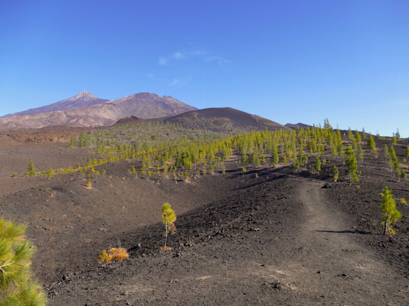 Aufstieg zur Montaña Sámara - Blick zum Teide, Pico Viejo und zur Montaña de la Botija.