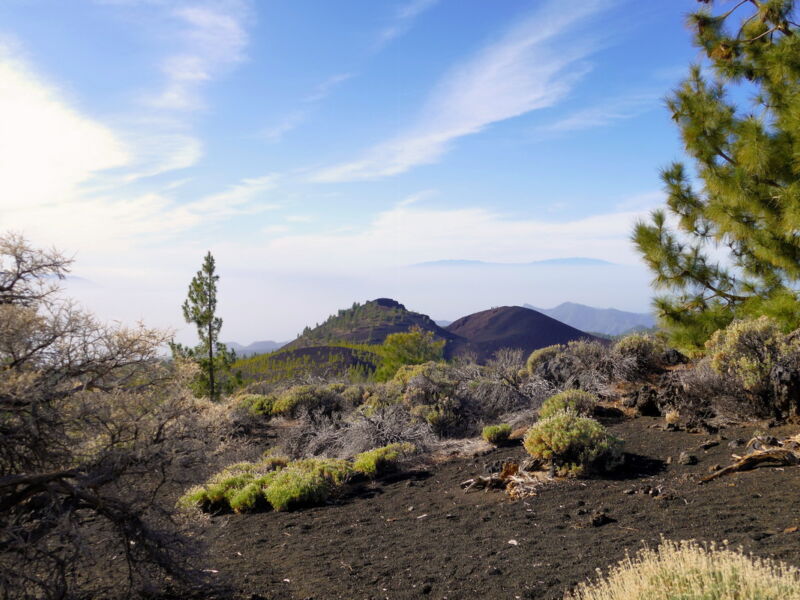 Auf der Runde um den Montaña de la Botija.