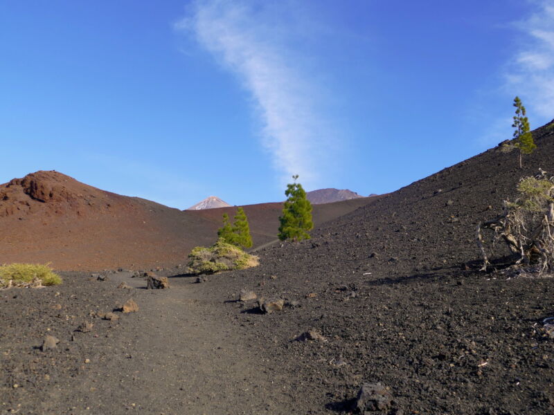 Auf der Runde um den Montaña de la Botija.