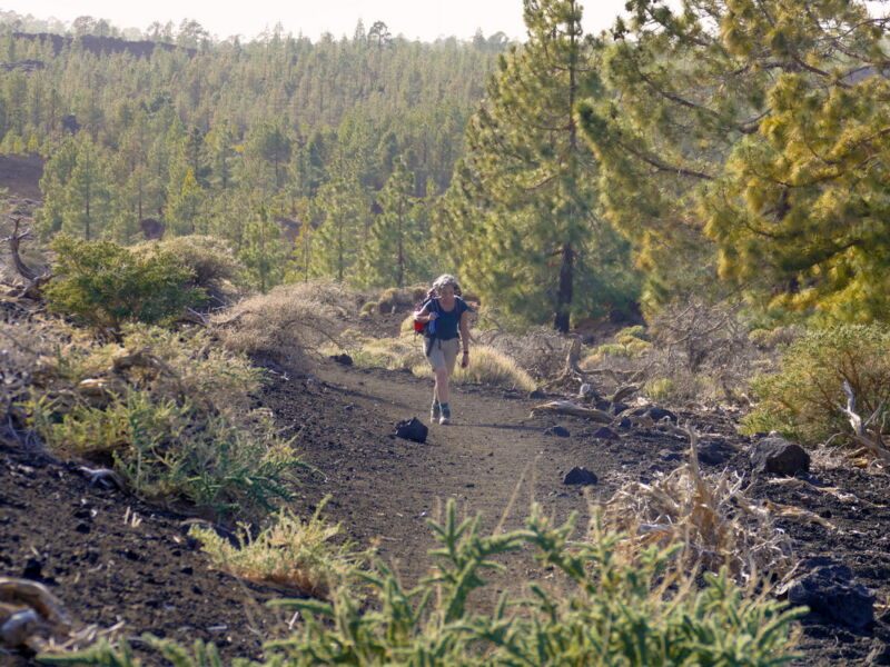 Auf der Runde um den Montaña de la Botija.