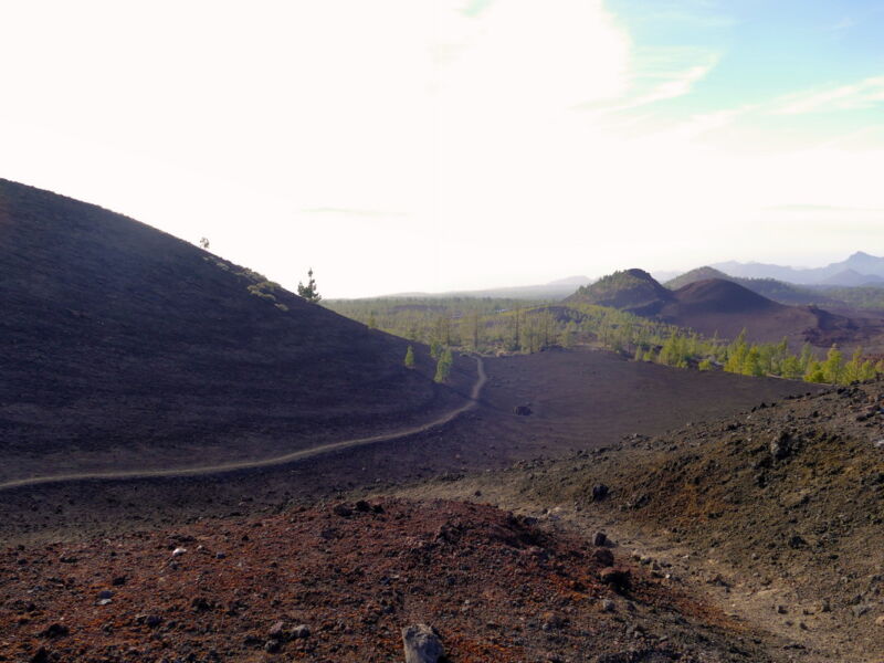 Auf der Runde um den Montaña de la Botija.