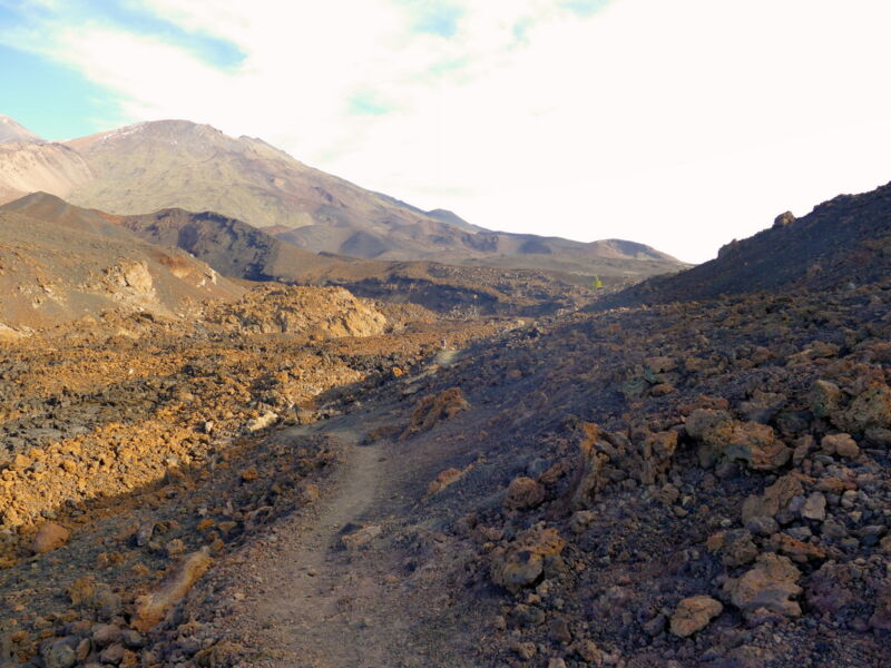 Auf der Runde um den Montaña de la Botija.