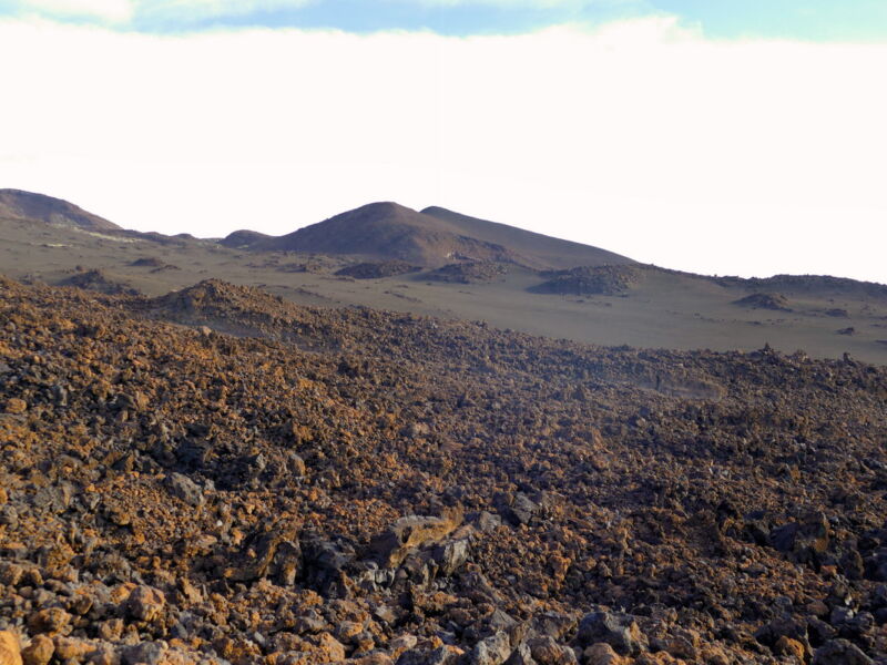 Auf der Runde um den Montaña de la Botija.