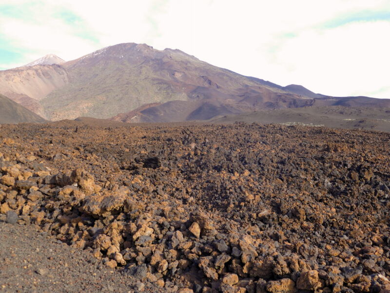 Auf der Runde um den Montaña de la Botija.