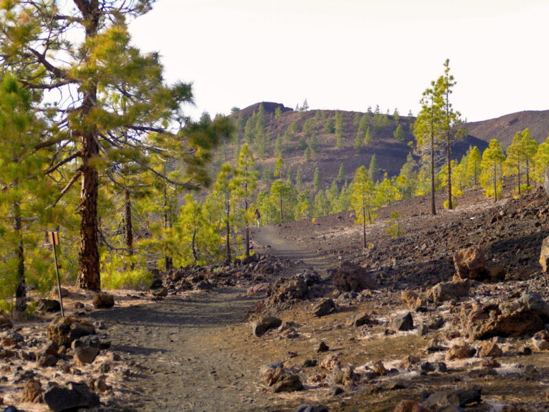 Auf der Runde um den Montaña de la Botija.
