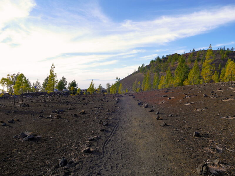 Auf der Runde um den Montaña de la Botija.