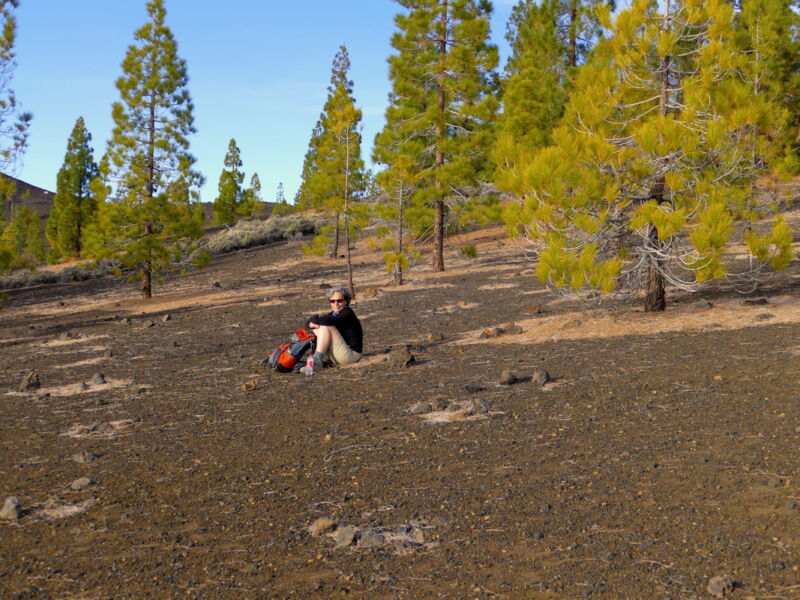 Auf der Runde um den Montaña de la Botija.