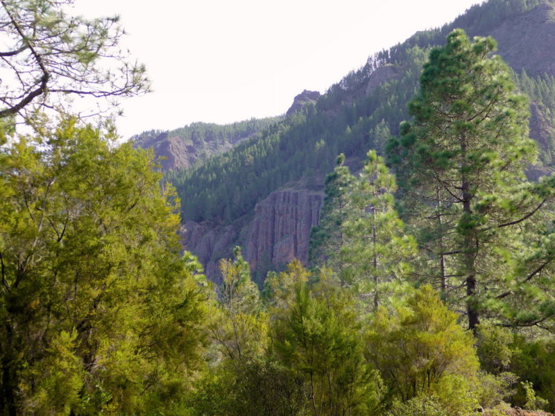 Los Organos - die Orgelpfeifen.