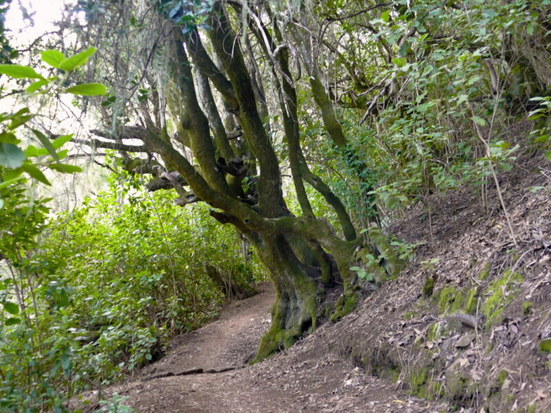 Auf dem Wasserweg im Barranco Madre del Agua.