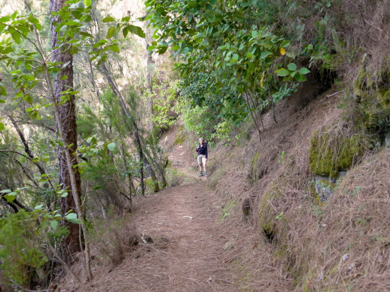 Auf dem Wasserweg im Barranco Madre del Agua.