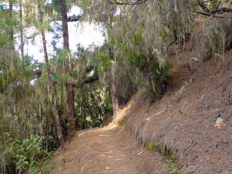 Auf dem Wasserweg im Barranco Madre del Agua.