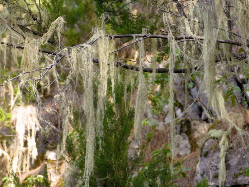 Auf dem Wasserweg im Barranco Madre del Agua.