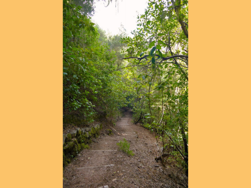 Auf dem Wasserweg im Barranco Madre del Agua.
