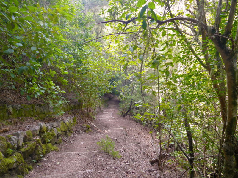 Auf dem Wasserweg im Barranco Madre del Agua.