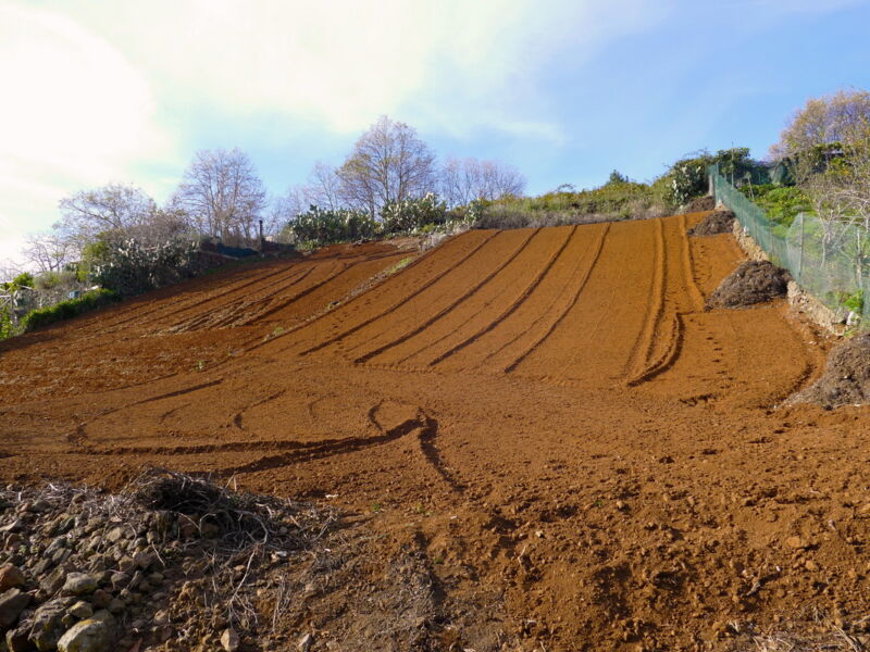 Ackerfeld bei Aguamansa.