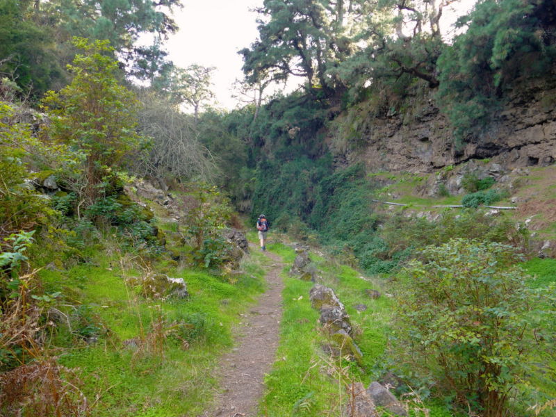 Durch einen Barranco geht es wieder zurück.