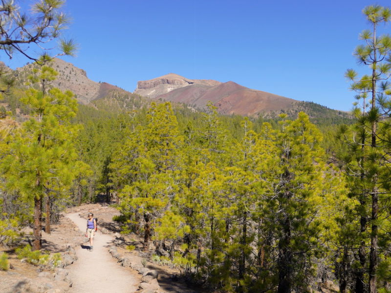 Blick auf den Guajara.