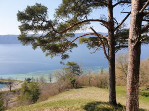 Blick auf den Bodensee.