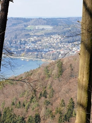 Beim Haldenhof - Blick auf Ludwigshafen.