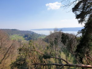 Bei der Zimmerwiese.