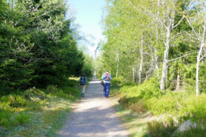 Auf dem Weg zum Hohloh-Turm.