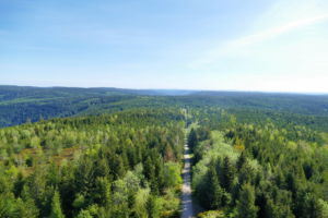 Blick vom Hohloh-Turm über den Nordschwarzwald.