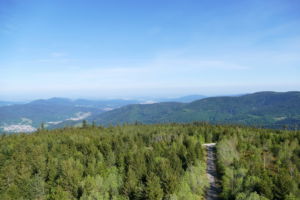 Blick vom Hohloh-Turm über den Nordschwarzwald.