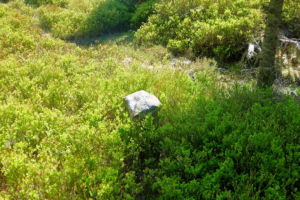 Alter Grenzstein auf dem Weg zum Toten Mann.