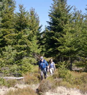 Auf dem Weg zum Toten Mann.