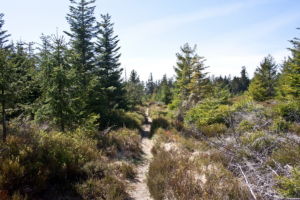 Auf dem Weg zum Toten Mann.