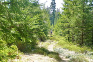 Auf dem Weg zum Toten Mann.