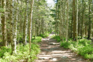 Auf dem Grenzpfad zum Langmartskopf.