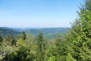 Steinerne Sitzbank - Blick über den Norschwarzwald.