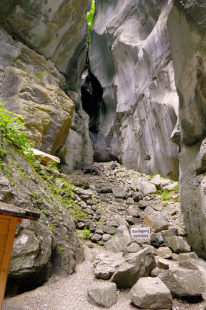 In der Aareschlucht.