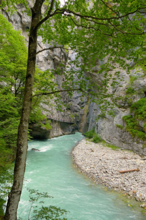 In der Aareschlucht.